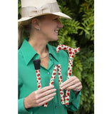 FOLDING CANE LADYBIRDS (LADYBUGS) - CANES