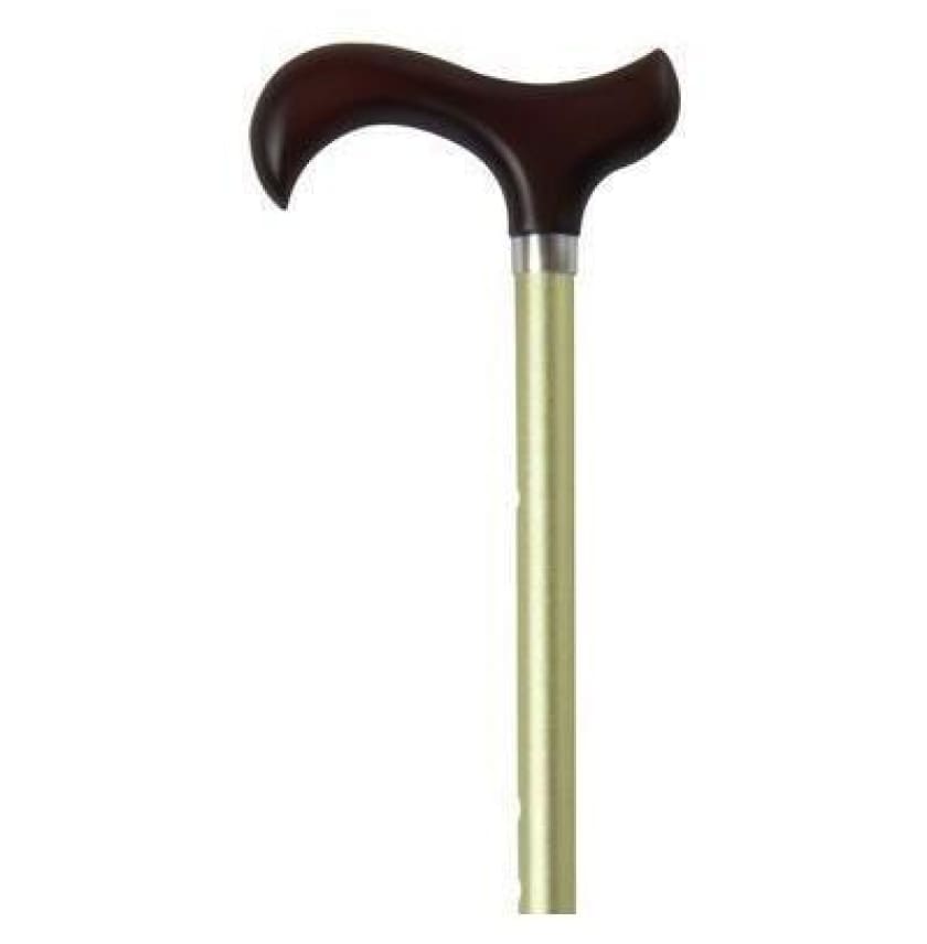 GREEN ADJUSTABLE - CLASSY EVERYDAY CANE - CANES